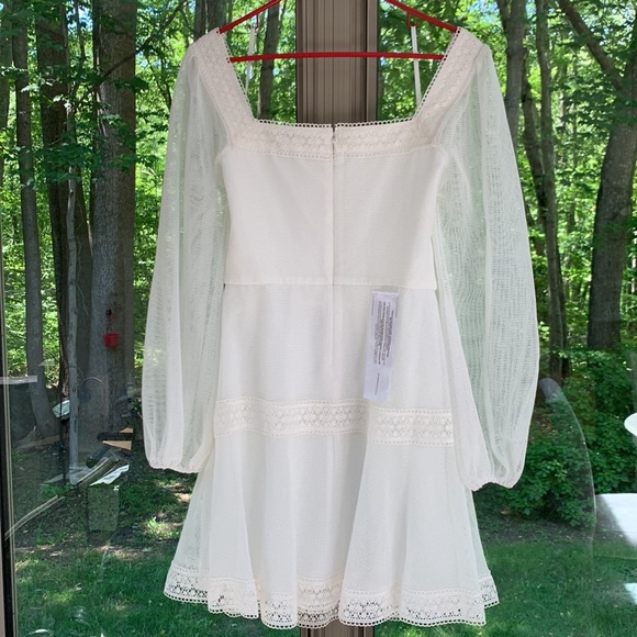 New! Minna Lace Dress - BCBG - Picture 7 of 8